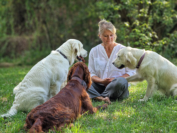 Daniela Ferchel - Hundetraining in der Nähe